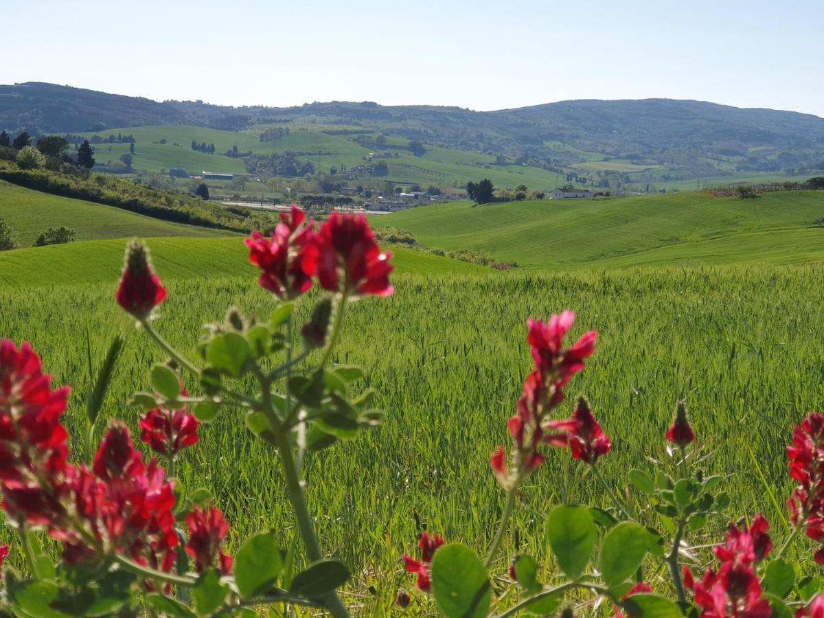 Il Giogo Agriturismo Rosignano Marittimo Exterior foto