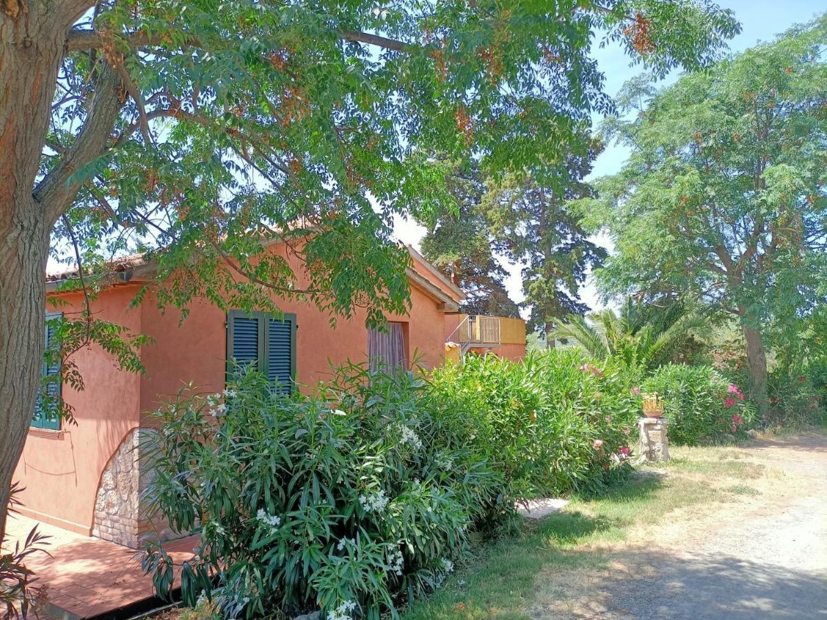 Il Giogo Agriturismo Rosignano Marittimo Exterior foto