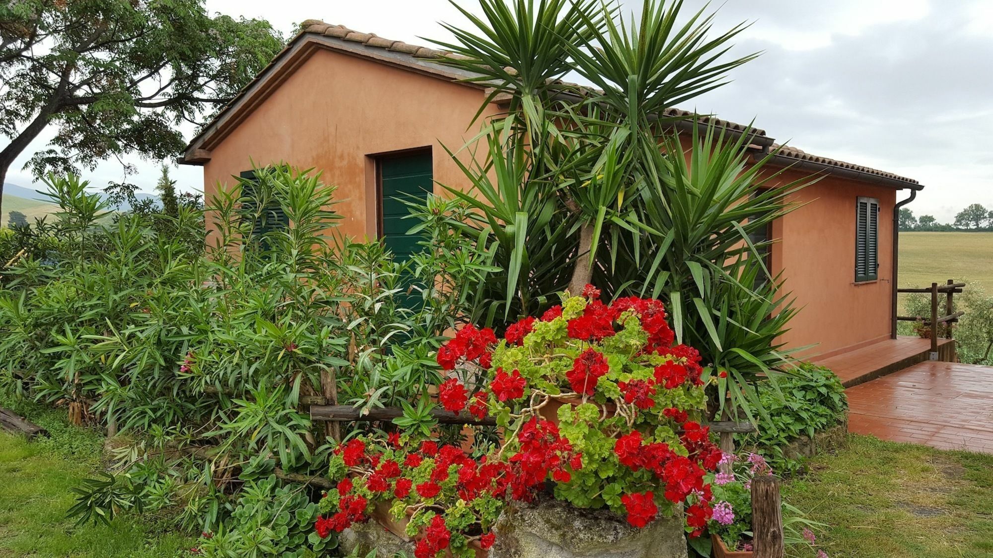 Il Giogo Agriturismo Rosignano Marittimo Exterior foto